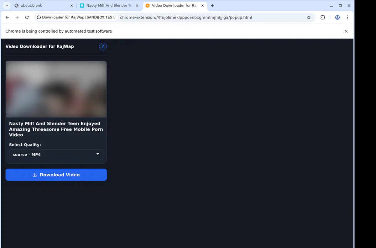 Rajwap Video Downloader browser extension screenshot 4